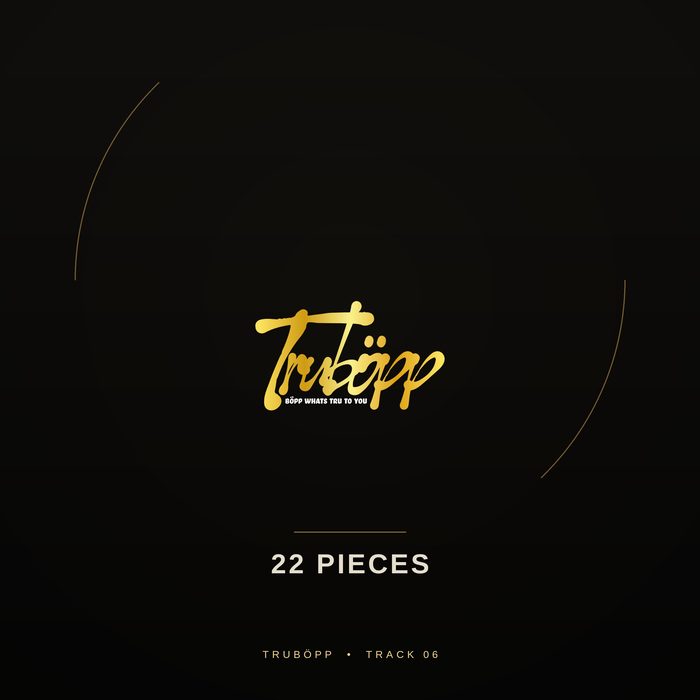 22 Pieces cover art