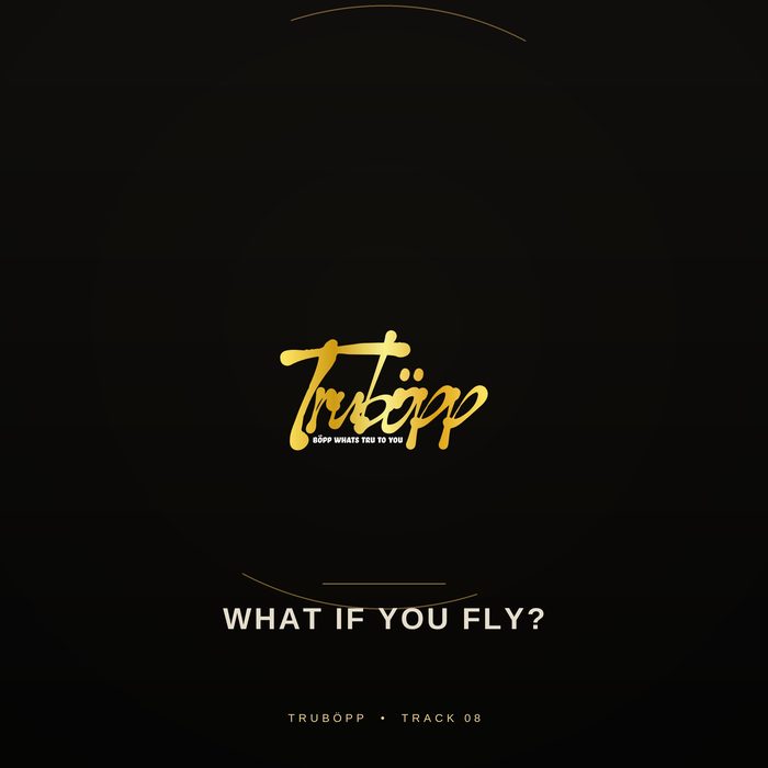 What If You Fly? cover art